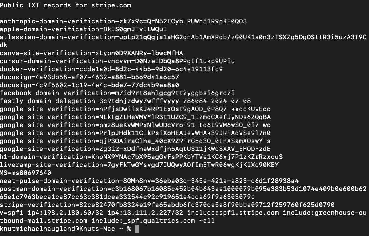 Terminal window showing selected public DNS TXT records for stripe.com, including domain verification and email authentication records.